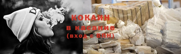 шишки Аркадак