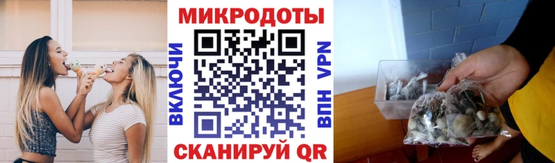 дарнет шоп  Суворов  Галлюциногенные грибы Cubensis 